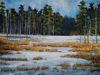 Jefferson Marsh